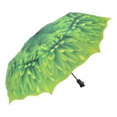 Женский Зонт Raindrops Зеленый цветок 733839\2